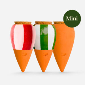Trio Mini Olla - Les Rayés